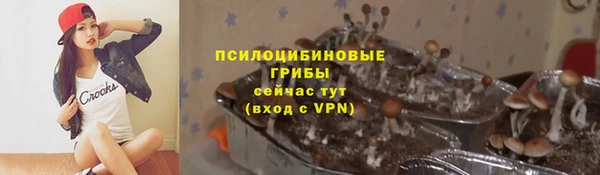 spice Лабытнанги