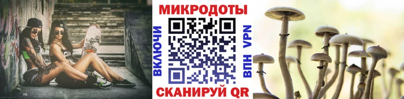 Галлюциногенные грибы Magic Shrooms  Купить  Ак-Довурак 