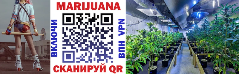 Бошки марихуана MAZAR Ак-Довурак